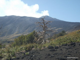 Crateri eruzione 2002
